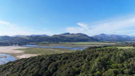 from the air of an estuary with a forest area in the foreground and mountains the other side of the estuary. Ross Woodhall - Action & Lifestyle Photography