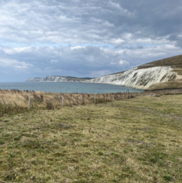 Field with white cliffs in background. Ross Woodhall - Action & Lifestyle Photography