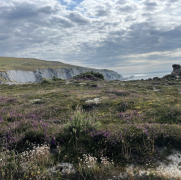 on the cliff, with heather & white cliffs in background Ross Woodhall - Action & Lifestyle Photography