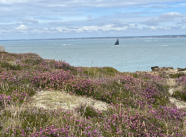 Heather on a cliff above the Solent sea Ross Woodhall - Action & Lifestyle Photography