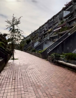 Inner city row of house in an estate with concrete terraces and greenery. Ross Woodhall - Action & Lifestyle Photography