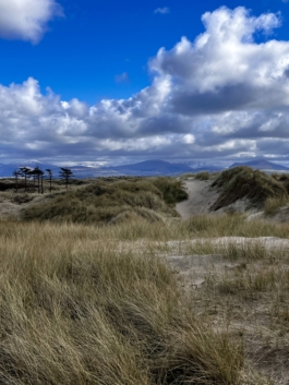 Coastal area with grasses between the sand with mountains in the background with a dusting of snow. Ross Woodhall - Action & Lifestyle Photography