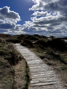 wooden planked sandy path, between wild grasses by the coast. Ross Woodhall - Action & Lifestyle Photography
