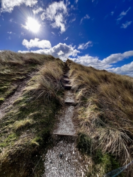 Sandy path between the grasses Ross Woodhall - Action & Lifestyle Photography
