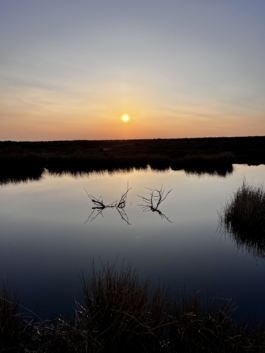 Sunset with a pond in the foreground with the twilight. Ross Woodhall - Action & Lifestyle Photography